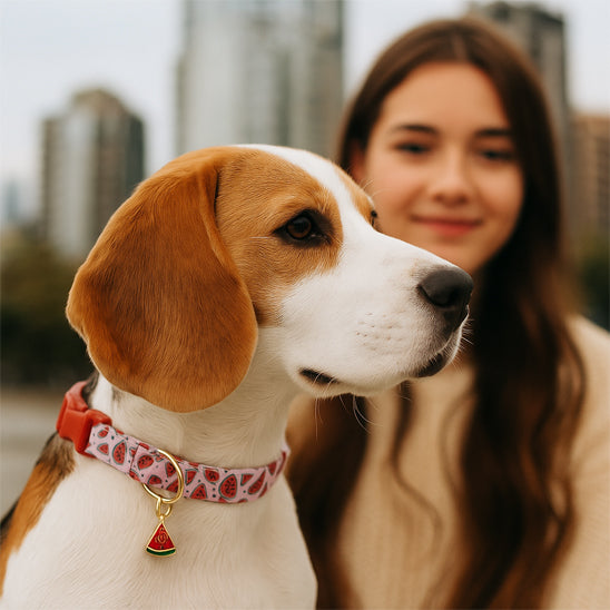 COLLIER CHIEN AVEC PENDENTIF DE FRUITS