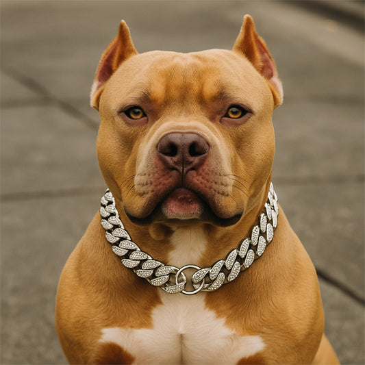 COLLIER CHIEN | CHAÎNE INCRUSTÉE DE DIAMANTS