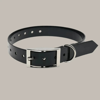 COLLIER CHIEN | TPU POLYURETHANE - Les chiens beaux