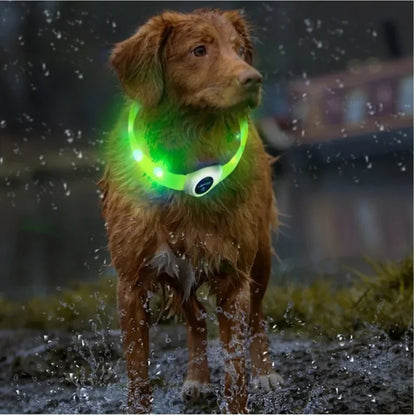 collier lumineux chien robuste vert
