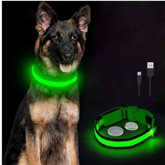 collier lumineux pour chien - Luminoc