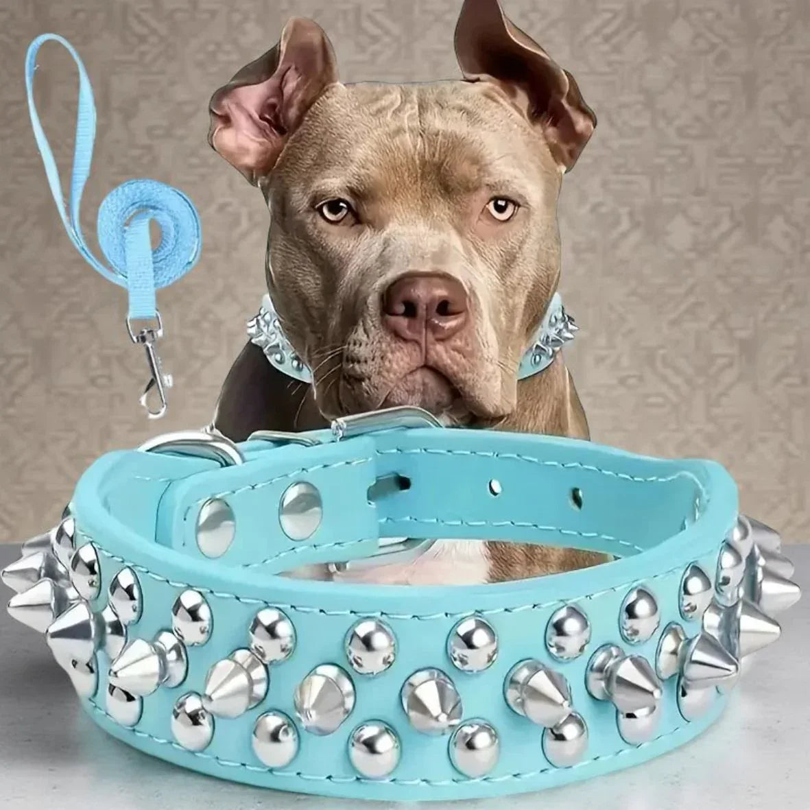 collier pour chien a clous bleu