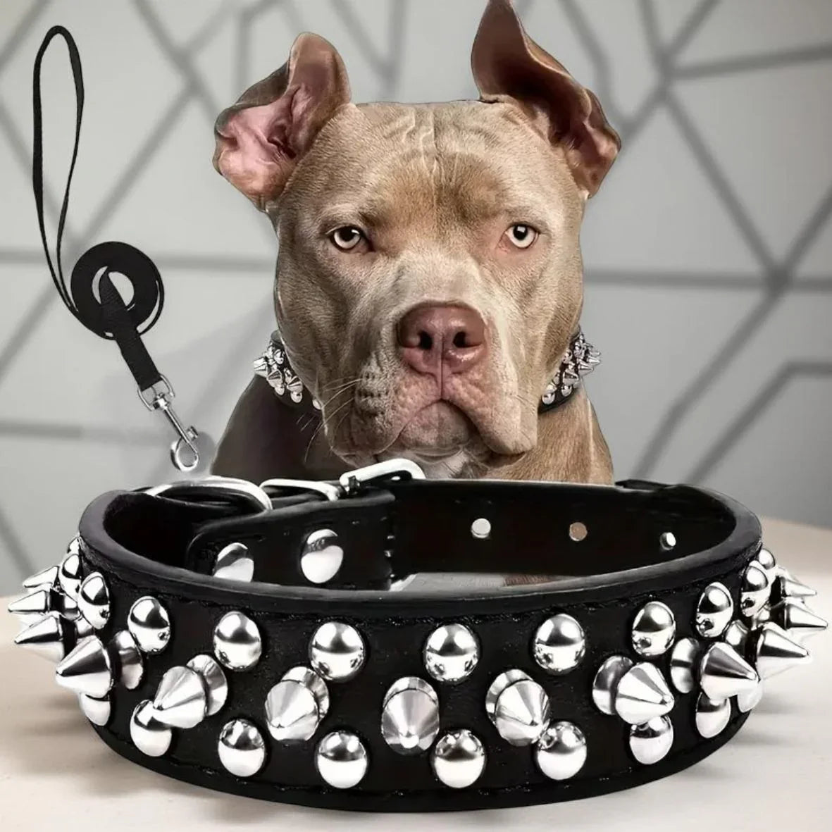 collier pour chien a clous noir