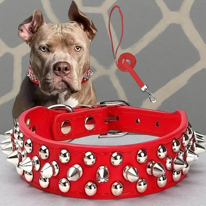 collier pour chien a clous rouge