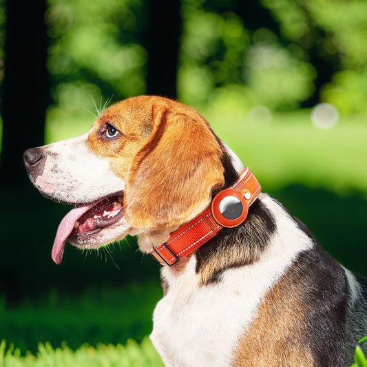 Collier pour chien | Airtag - Les chiens beaux