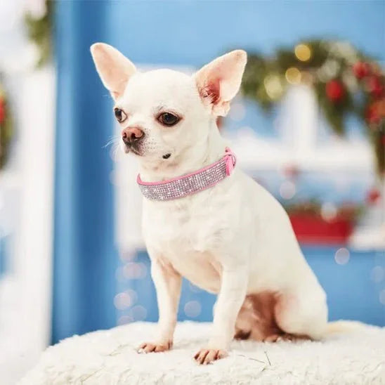 Collier pour chien en similicuir | Cristal paillette - Les chiens beaux