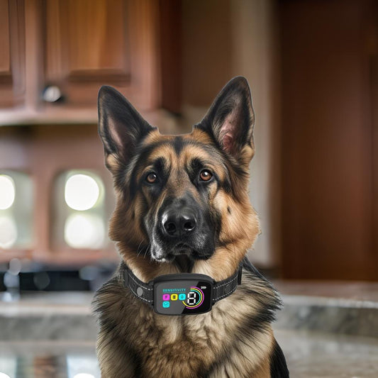 collier anti-aboiement pour chien - Silencio