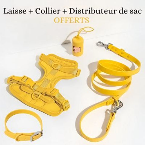 combo harnais laisse collier sac a crotte anti traction chien jaune