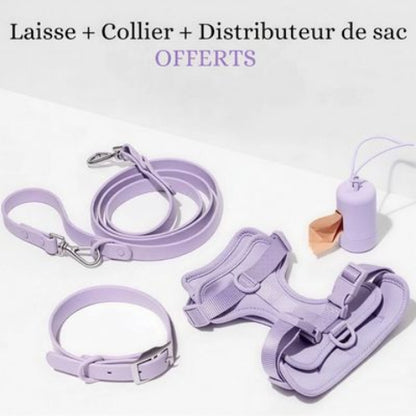 combo harnais laisse collier sac a crotte anti traction chien lavender lilac