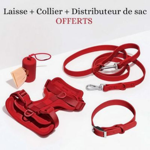 combo harnais laisse collier sac a crotte anti traction chien rouge