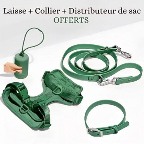 combo harnais laisse collier sac a crotte anti traction chien vert
