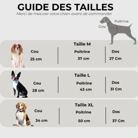 deguisement chien dinosaure Guide des tailles