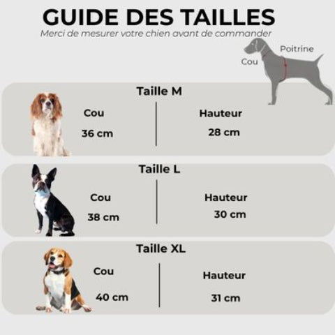 deguisement chien funpaws halloween Guide des tailles