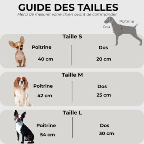 deguisement chien hot dog Guide des tailles