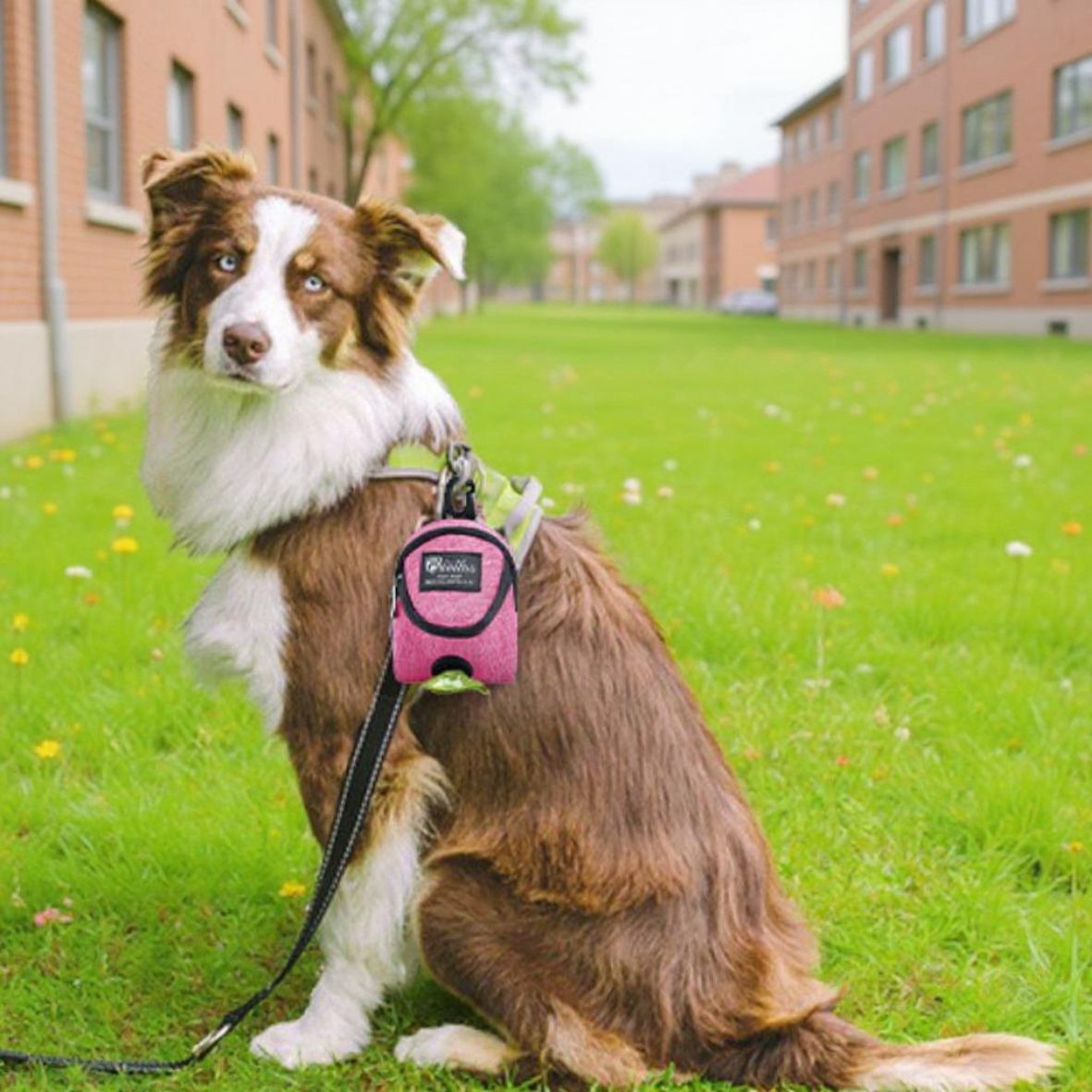 Distributeur de sac à crottes chien | SacCrottPro - Les chiens beaux