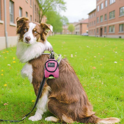 Distributeur de sac à crottes chien | SacCrottPro - Les chiens beaux