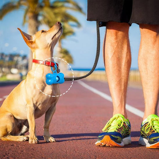 DISTRIBUTEUR DE SAC DE CROTTES DE CHIEN EN FORME DE SOFIA | SOFIAPOUCH - Les chiens beaux