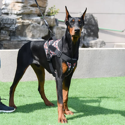 doberman qui porte le harnais anti traction pour chien Servidog robuste