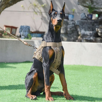 doberman qui porte le harnais anti traction pour chien servidog kaki camouflage durable
