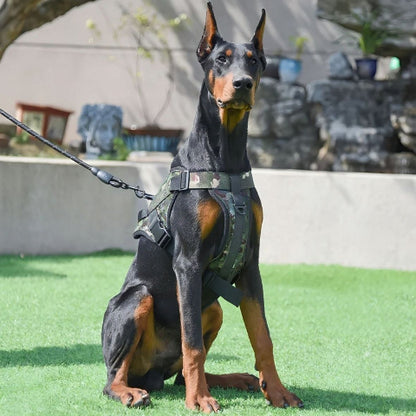 doberman qui porte le harnais anti traction pour chien servidog vert camouflage robuste