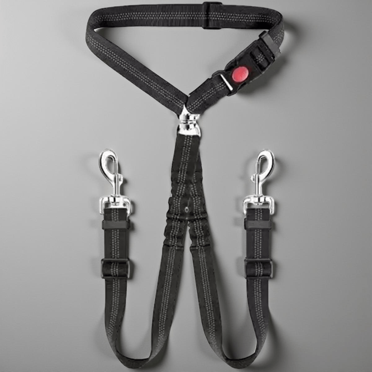 Double laisse pour chien | Ceinture de sécurité - Les chiens beaux