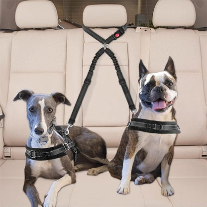 Double laisse pour chien | Ceinture de sécurité - Les chiens beaux