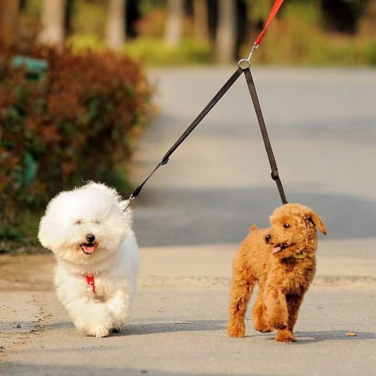 DOUBLE LAISSE POUR CHIEN | COUPLEUR EN NYLON - Les chiens beaux