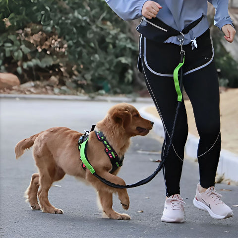 fille qui marche dans la route avec son chien qui porte la laisse pour chien ceinture mains libres verte de bonne qualite