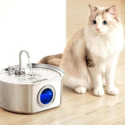 fontaine a eau chat avec acier inoxydable