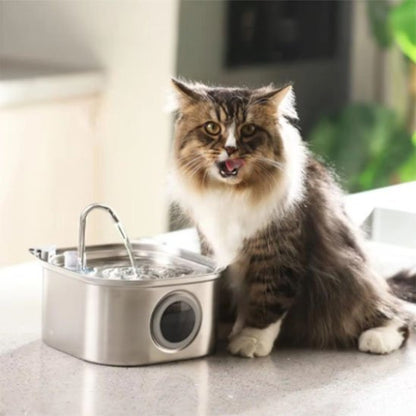 fontaine a eau chat confortable