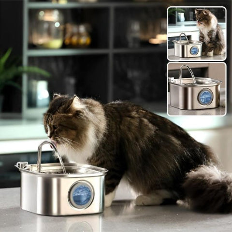 fontaine a eau chat de bonne qualite