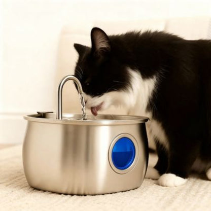 fontaine a eau chat essentielle pour votre chat