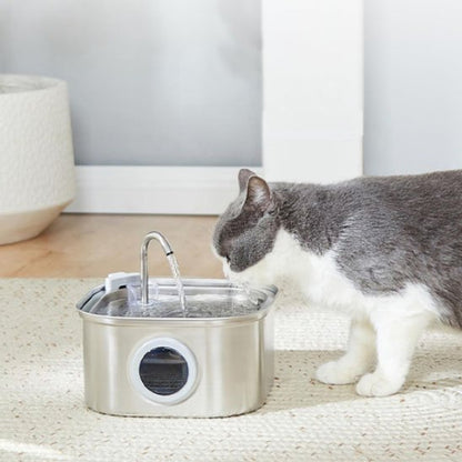 fontaine a eau chat robuste