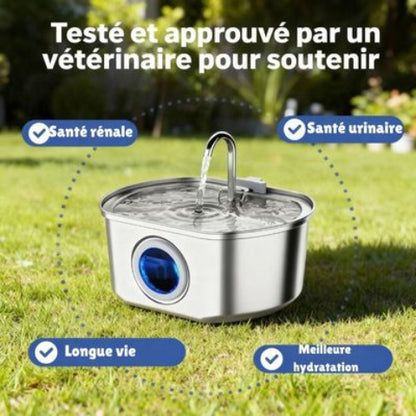 fontaine a eau chat sante