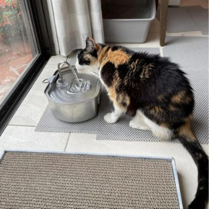 fontaine a eau chat solution ideale