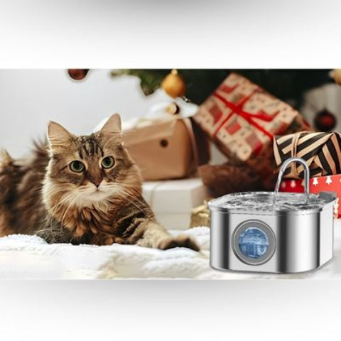 fontaine a eau chat tres beau