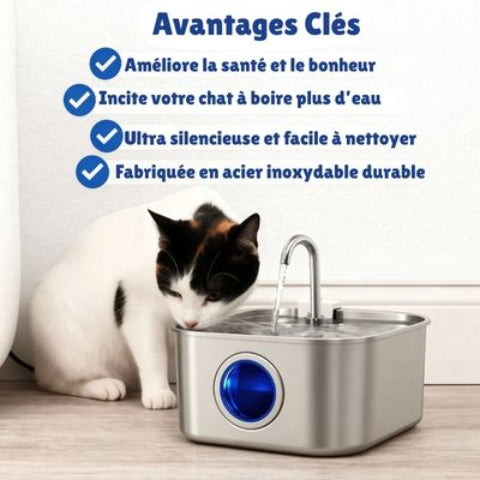 fontaine a eau chat tres indispensable pour la sante de votre chat
