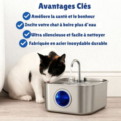 fontaine a eau chat tres indispensable pour la sante de votre chat