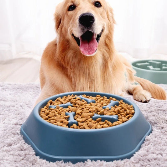 GAMELLE ANTI GLOUTON CHIEN | MUNCHMASTER - Les chiens beaux