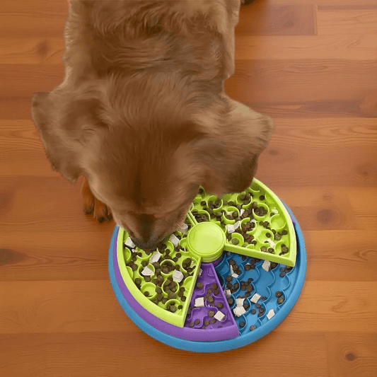 GAMELLE ANTI GLOUTON CHIEN | PUZZLE À 3 NIVEAUX - Les chiens beaux