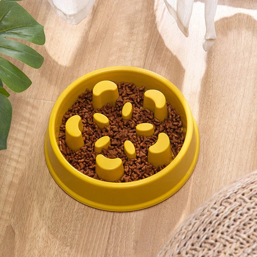 GAMELLE ANTI GLOUTON CHIEN | SLOWBOWL - Les chiens beaux