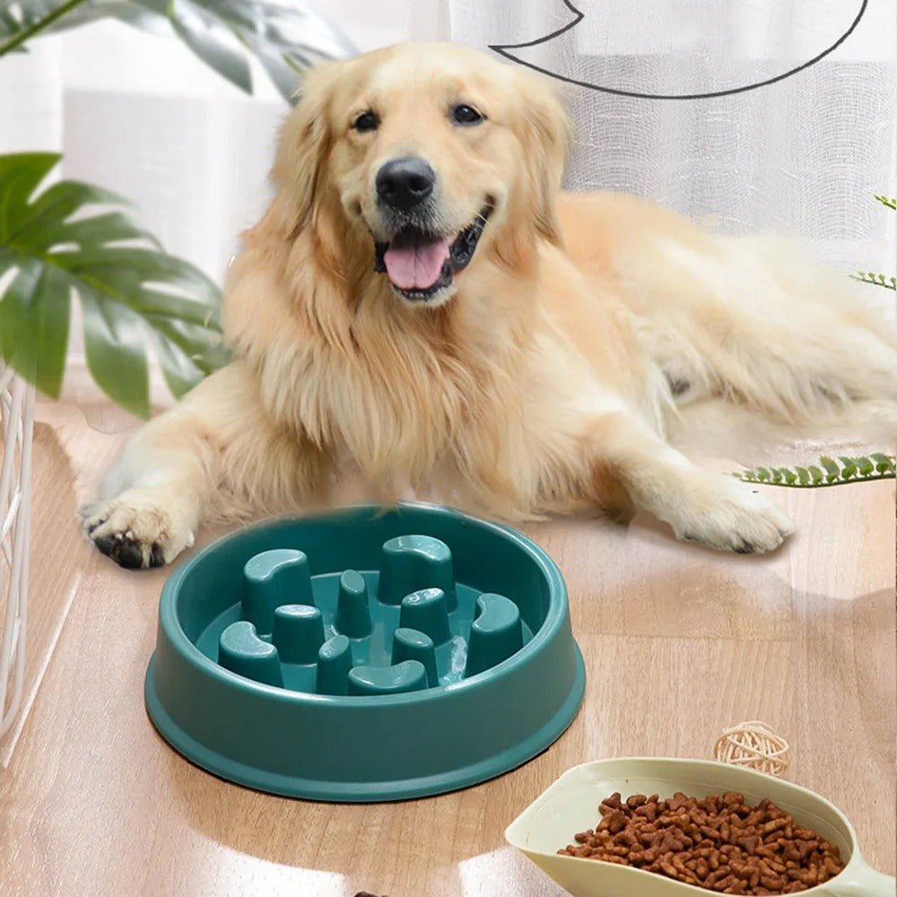 GAMELLE ANTI GLOUTON CHIEN | SLOWBOWL - Les chiens beaux