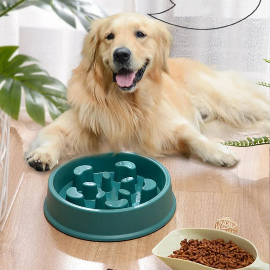 GAMELLE ANTI GLOUTON CHIEN | SLOWBOWL - Les chiens beaux