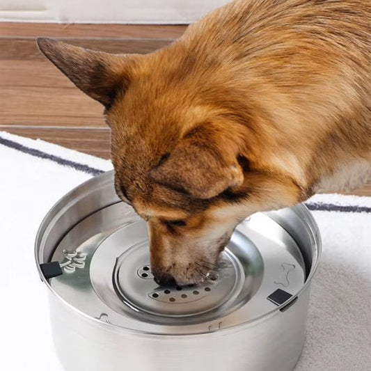 GAMELLE CHIEN ANTI ÉCLABOUSSURES | DISTRIBUTEUR D'EAU EN ACIER - Les chiens beaux
