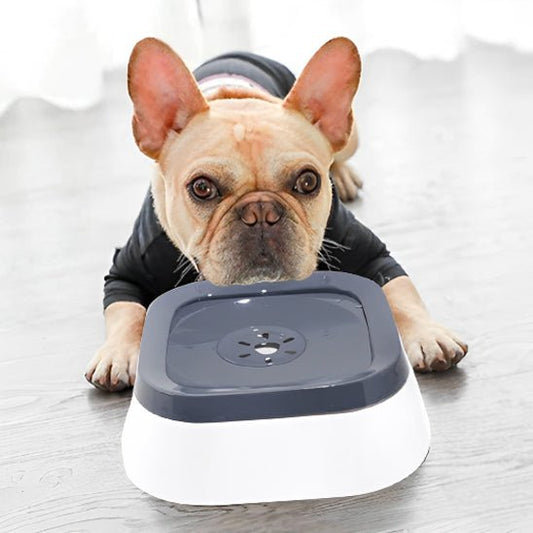 Gamelle pour chien anti éclaboussure | SplashStop - Les chiens beaux