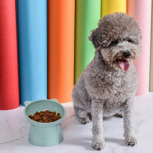 Gamelle pour chien | Plat ergonomique - Les chiens beaux