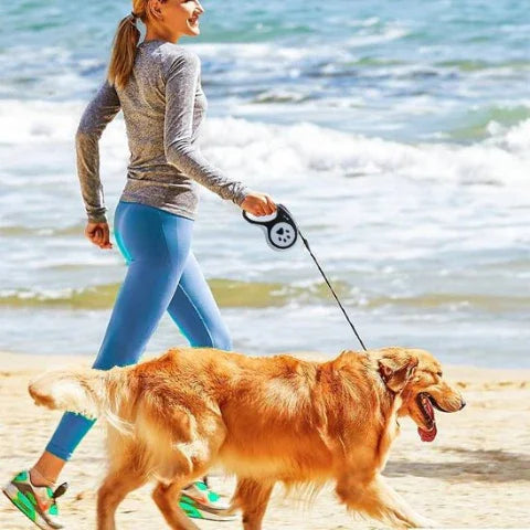 golden retriever porte la laisse enrouleur pattes de chien en se promenant avec une femme sur la plage