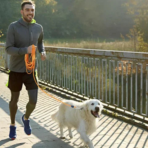 golden retriever qui court avec son proprietaire qui le prend par la laisse pour chien longue corde de dressage rembourree orange
