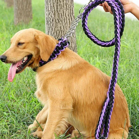 golden retriever qui porte la laisse pour chien tressee en nylon a deux brins corde tissee a chevrons noir-bleue