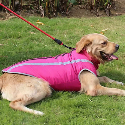 golden retriever qui porte le manteau pour chien polaire rose chic
